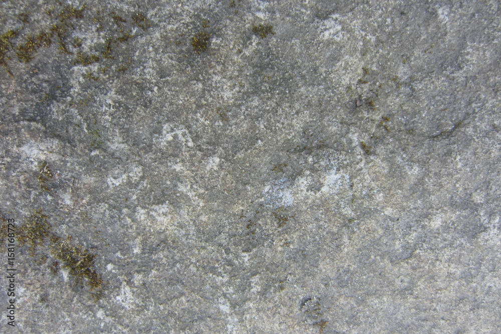 Obraz premium Concrete Texture #1