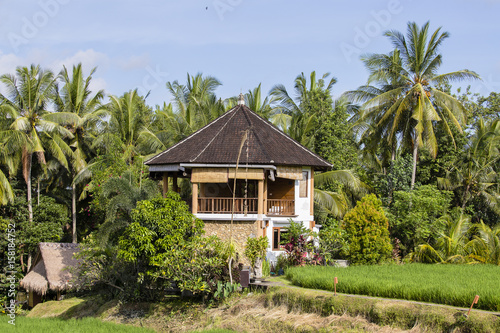 Tropical house with a tiled roof among rice fields. Island Bali, Ubud, Indonesia