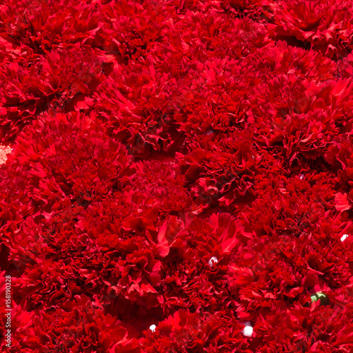 Bouquet of red flowers carnation