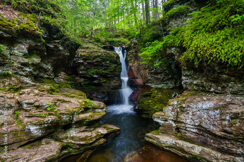 Adam's Falls, at Ricketts Glen State Park, Pennsylvania.
