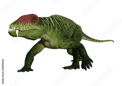Fototapeta Naklejka Na Ścianę i Meble -  3D Rendering Dinosaur Doliosauriscus on White