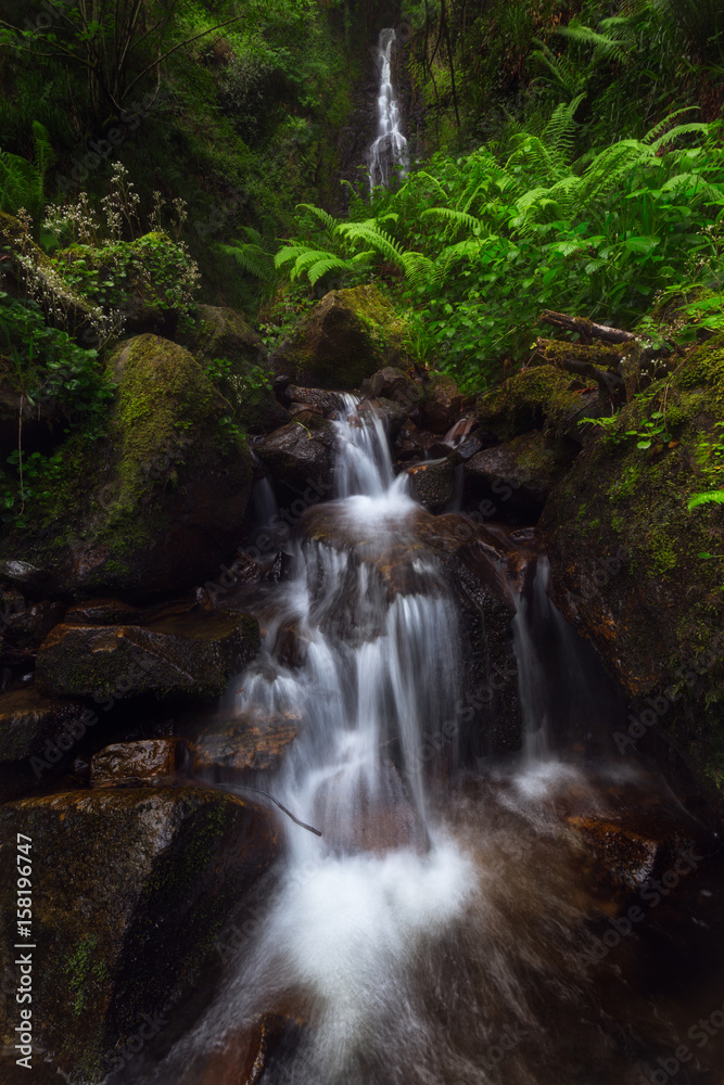 Obraz premium Waterfall in Gorbea Natural Park forest