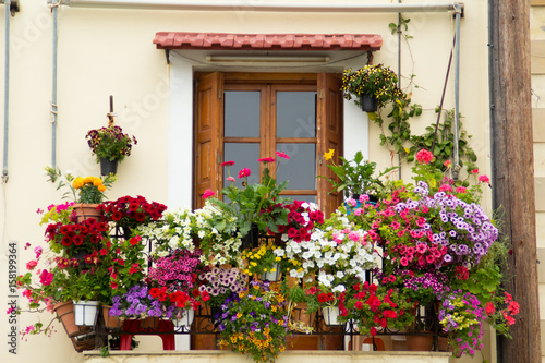 Blumenpracht auf Balkon © Christian Schulz