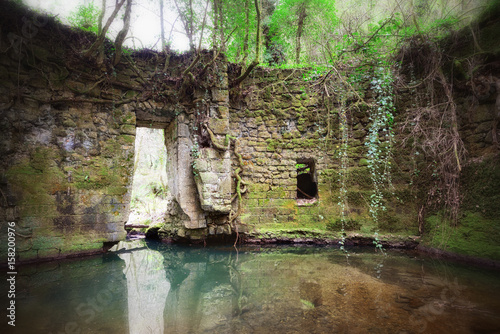 Ancient ruins covered by vegetation, Barbarano Romano, Rome photo