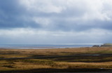 Icelandic landscape, shore and ocean 