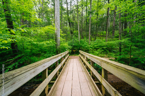 Wooden bridge on a trail in Ricketts Glen State Park  Pennsylvania.