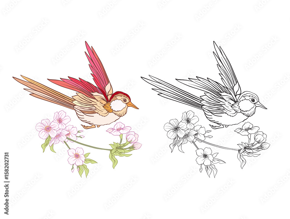 Fototapeta premium Flowers and swallow. Set of colored sample and outline drawing. Outline hand drawing coloring page for adult coloring book. Stock line vector illustration.