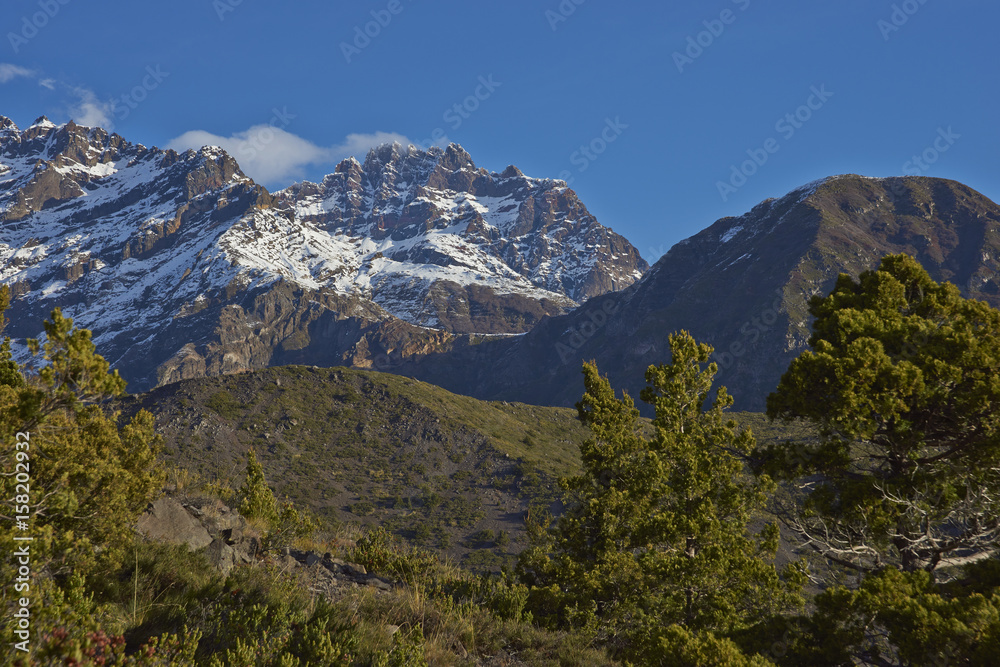 Mountain Sierra Velluda (3,585 m) rising above forested hillsides in Laguna de Laja National Park in the Bio Bio region of Chile.