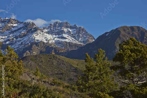 Mountain Sierra Velluda (3,585 m) rising above forested hillsides in Laguna de Laja National Park in the Bio Bio region of Chile.