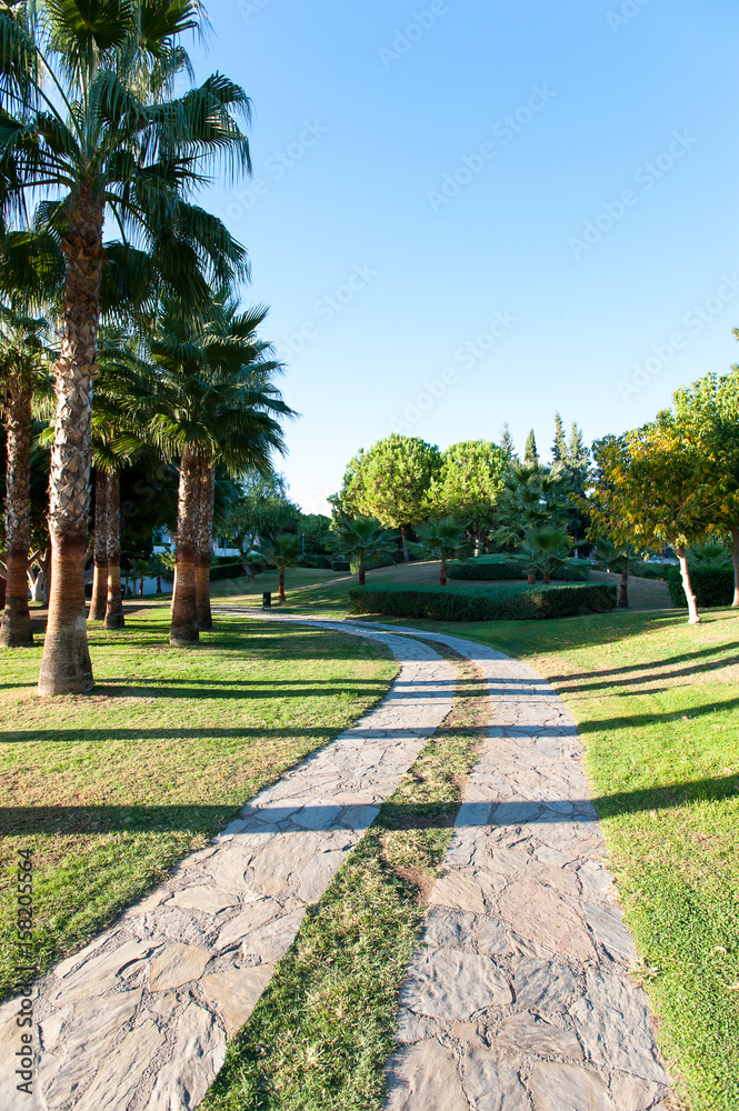 Palm trees in formal garden of summer park. Turkey Palm trees in formal garden of summer park. Turkey