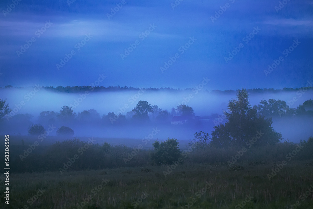 Evening fog in the twilight between trees and houses in the countryside.