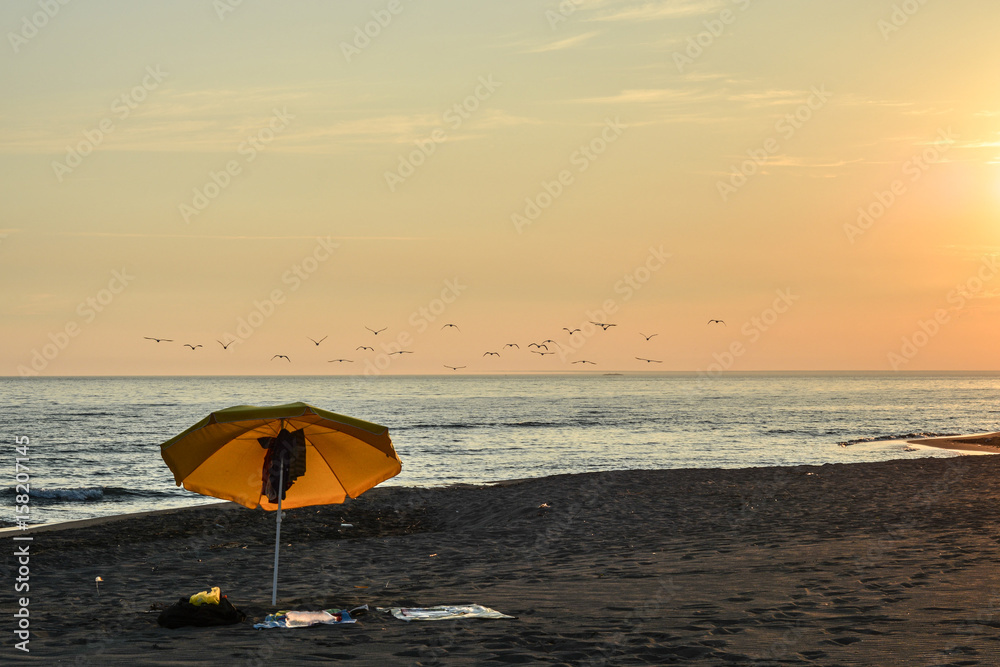 Sunset on the beach with one parasol and birds - romantic, orange, sky, romantic