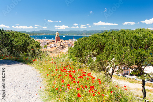 Spring view on Saint Tropez with poppies on french riviera
