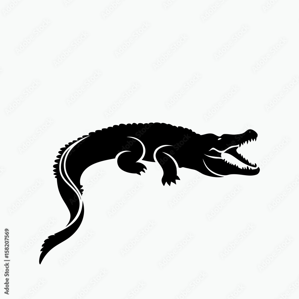Obraz premium Aligator