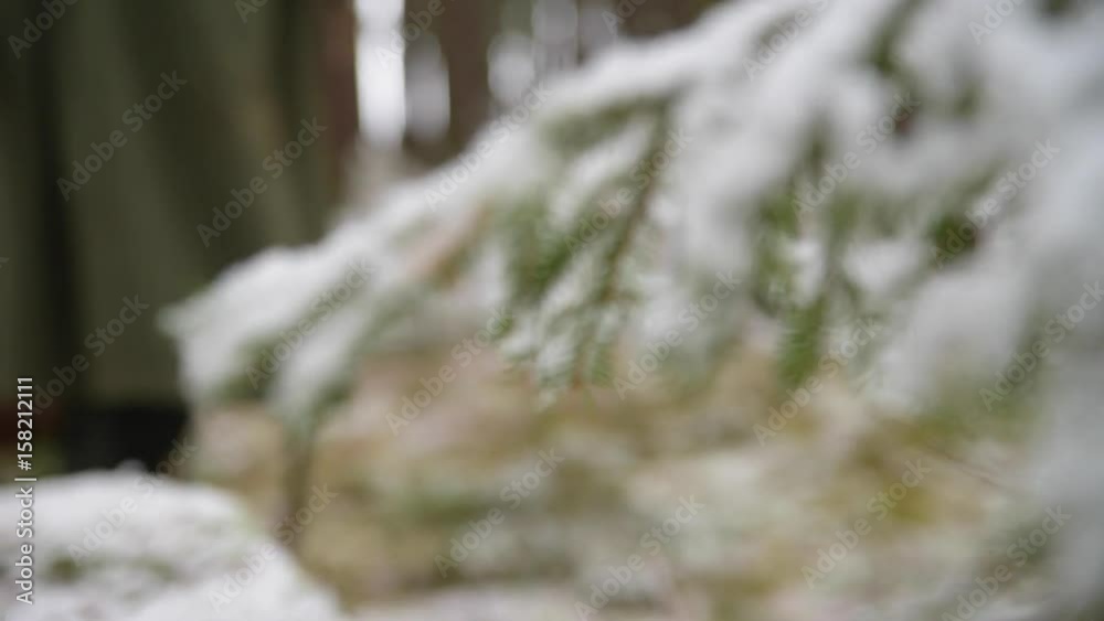 custom made wallpaper toronto digitalLegs of hunter in winter forest (with dog)