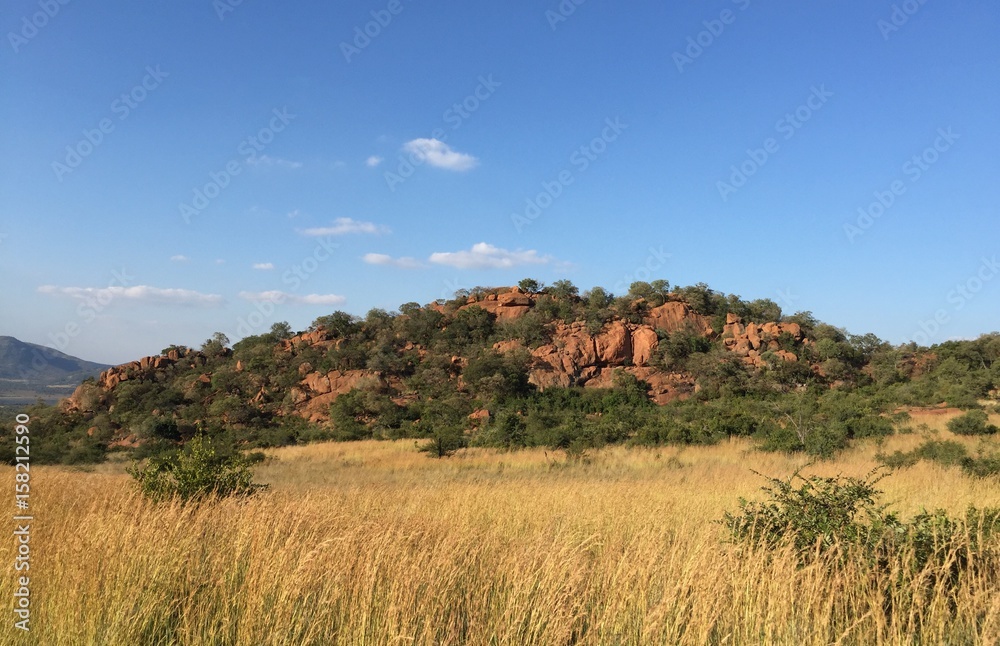 Pilanesberg National Park Pilanesberg National Park