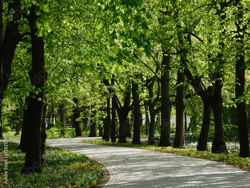 Obraz na płótnie Path in Lazienki Royal Park