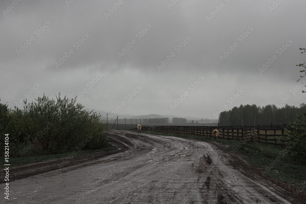 depressive landscape with country road, rain and fog