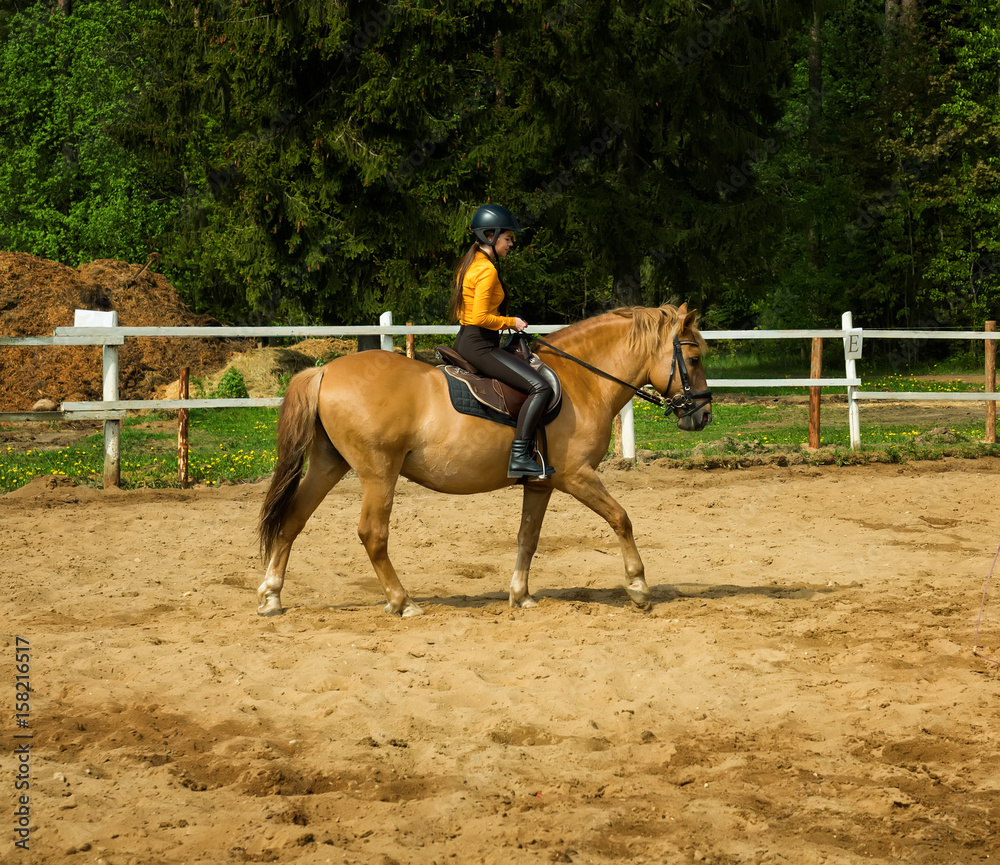 Young cheerful girl rides on a brown horse. Riding training. Horseback Riding.