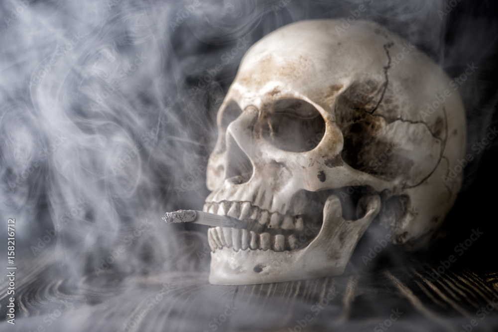 Human skull with cigarette Human skull with cigarette