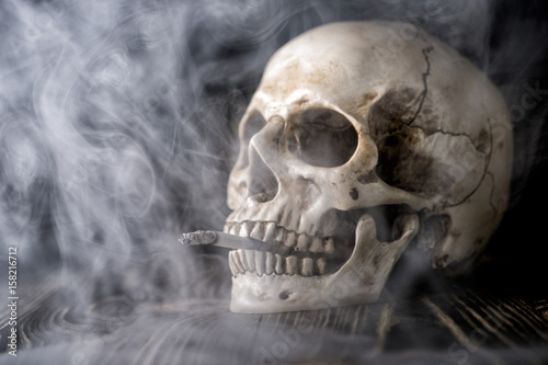 Human skull with cigarette