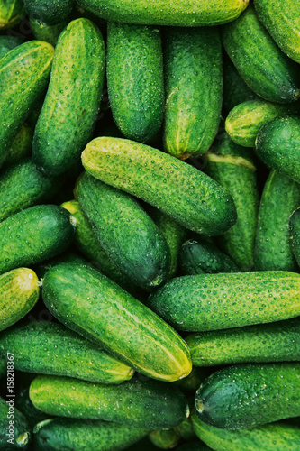 Cucumbers on Green Market