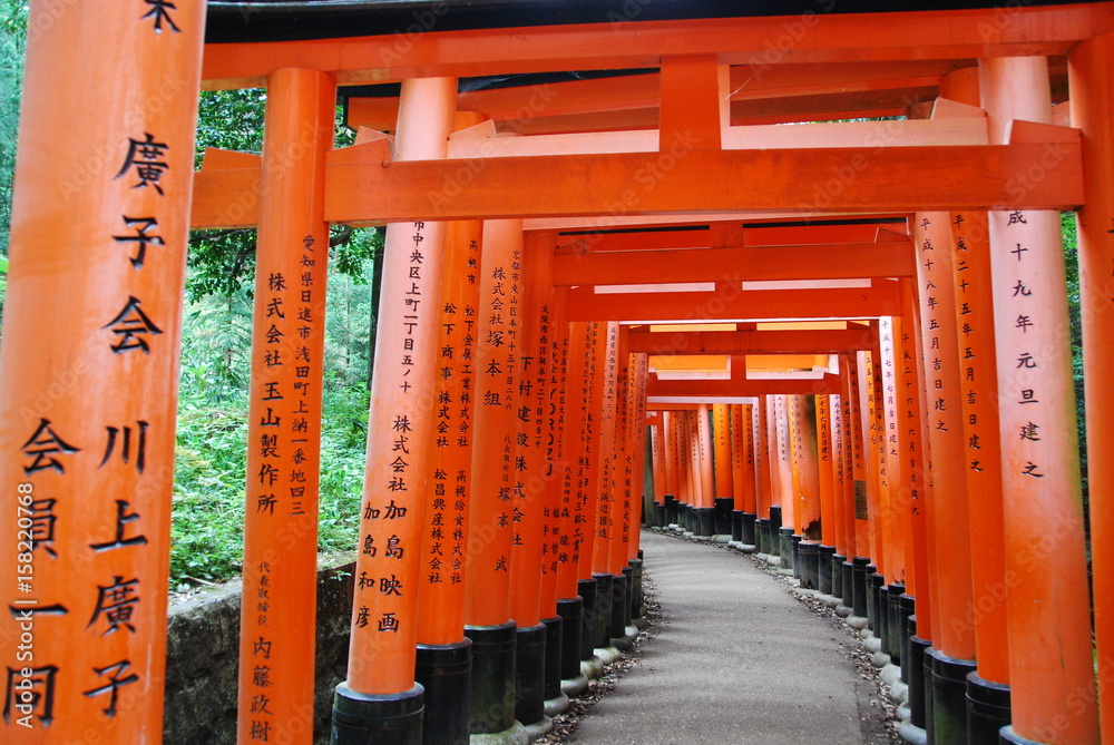 Obraz premium Torii du temple Fushimi Inari-taisha, Kyoto, Japon