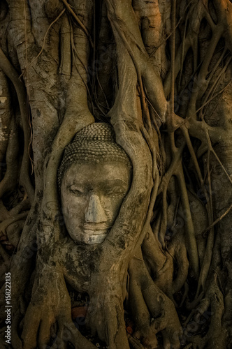 Head of Buddha © Nontavut