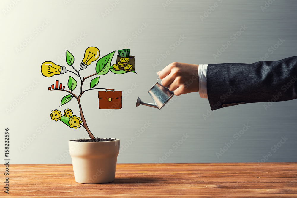 Drawn income tree in white pot for business investment savings and making money