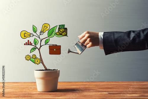 Obraz na płótnie Drawn income tree in white pot for business investment savings and making money w salonie