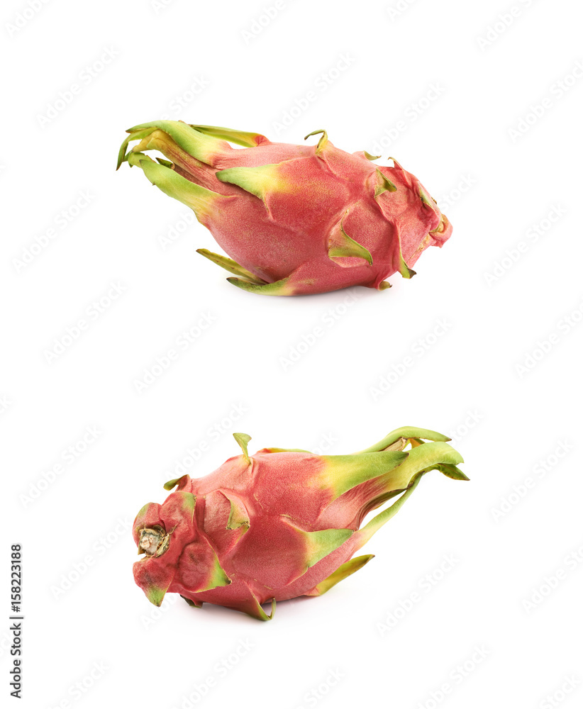 Vietnam dragon fruit pitaya isolated Vietnam dragon fruit pitaya isolated