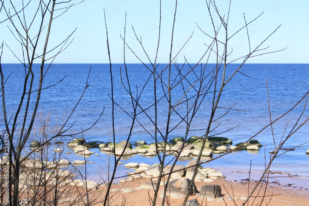 Fototapeta premium coastline in Latvia, springtime