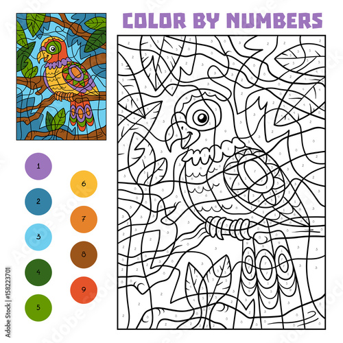 Color by number for children, Parrot