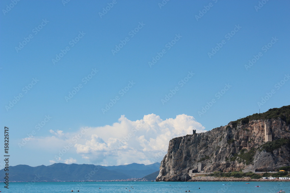 Fototapeta premium estate