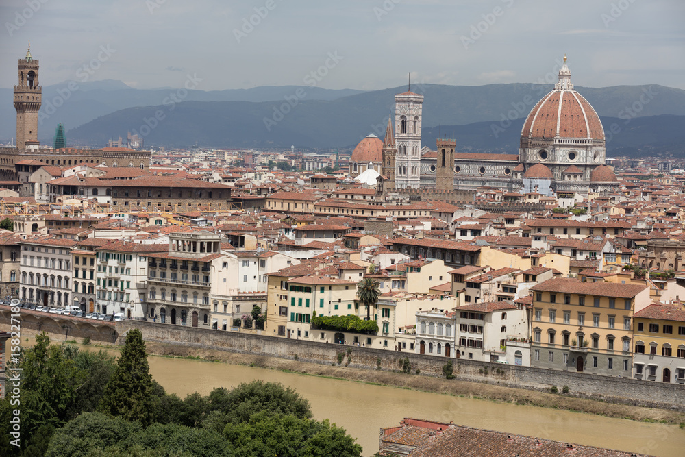 Landscape of Florence from roots, Italy