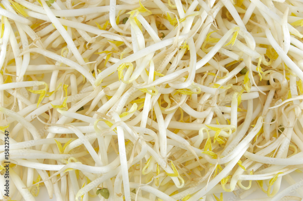 green bean sprout background