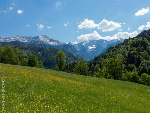 Alpenpanorama mit Sommerwiese