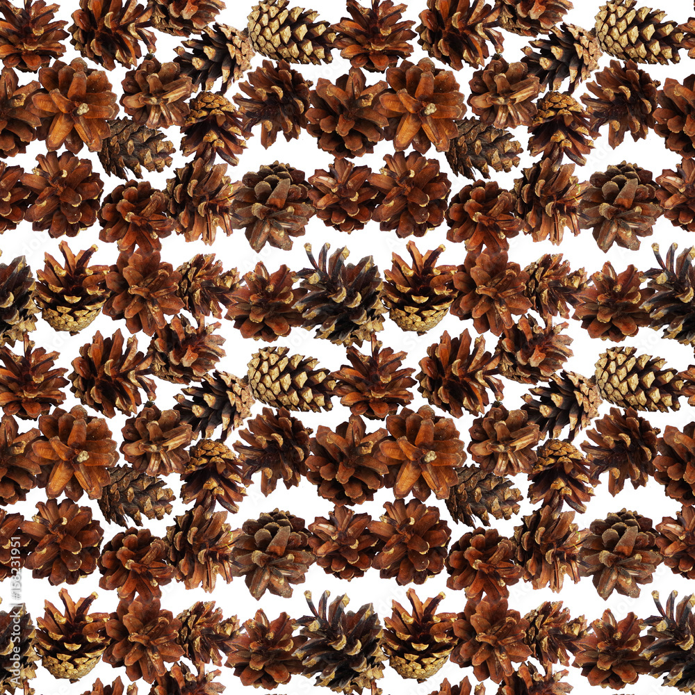 Seamless pattern with pine cones on white background Seamless pattern with pine cones on white background