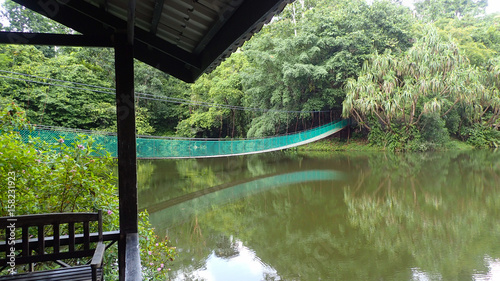 The suspension bridge over the lake at Rainforest Discovery Centre In Sepilok  Borneo