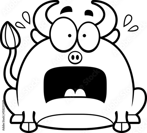 Terrified Little Bull