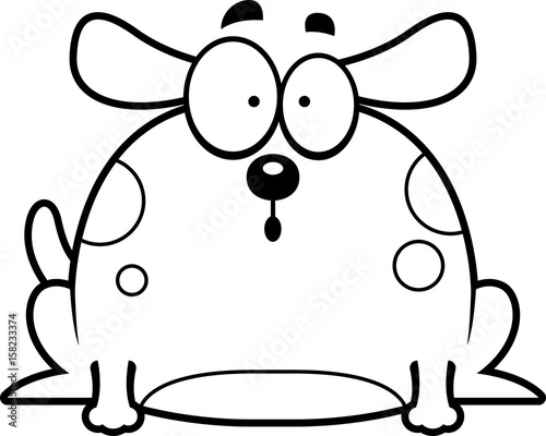 Surprised Little Dog