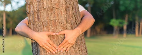 Fotografie Male hands making a heart shape around the trunk of pine tree