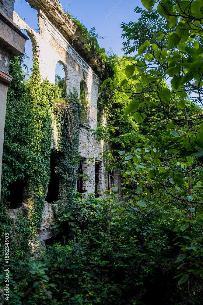 Overgrown ruined wall of abandoned mansion, Abkhazia. Green post-apocalyptic concept Overgrown ruined wall of abandoned mansion, Abkhazia. Green post-apocalyptic concept