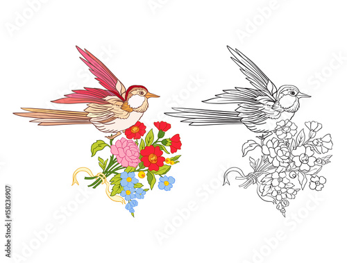 Flowers and swallow. Set of colored sample and outline drawing.  Outline hand drawing coloring page for adult coloring book.
 Stock line vector illustration.