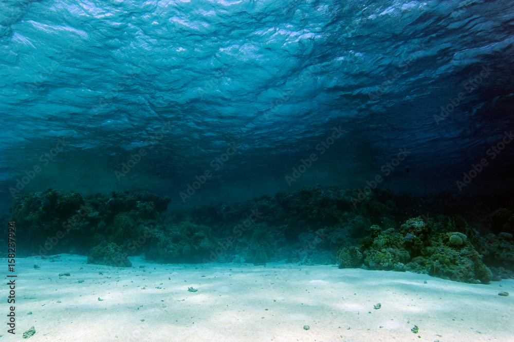 Obraz premium Ocean