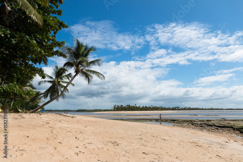 Tropical island paradise