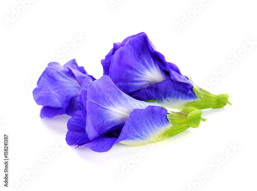 Canvas Print butterfly pea flower on white background
