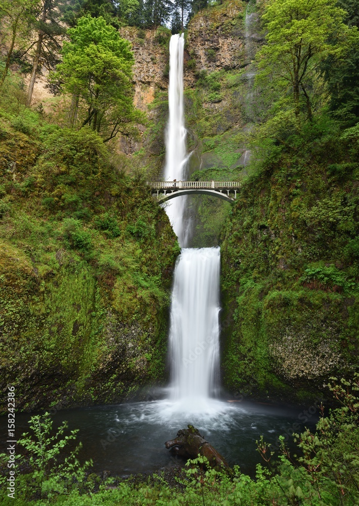 Multnomah Falls Stock Photo | Adobe Stock