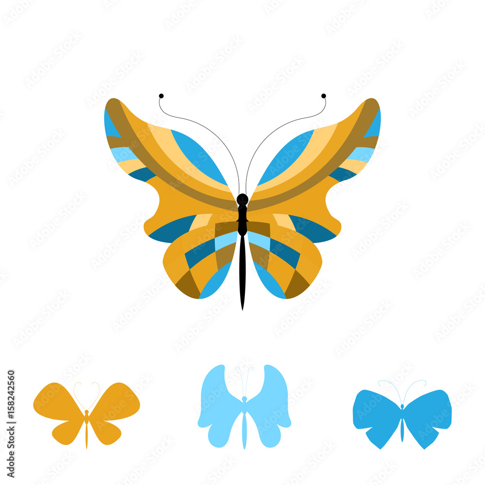 Fototapeta premium Collection of Colorful Butterflies
