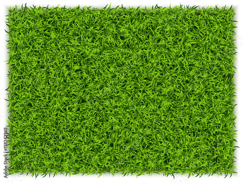 Green Grass Rectangle Background